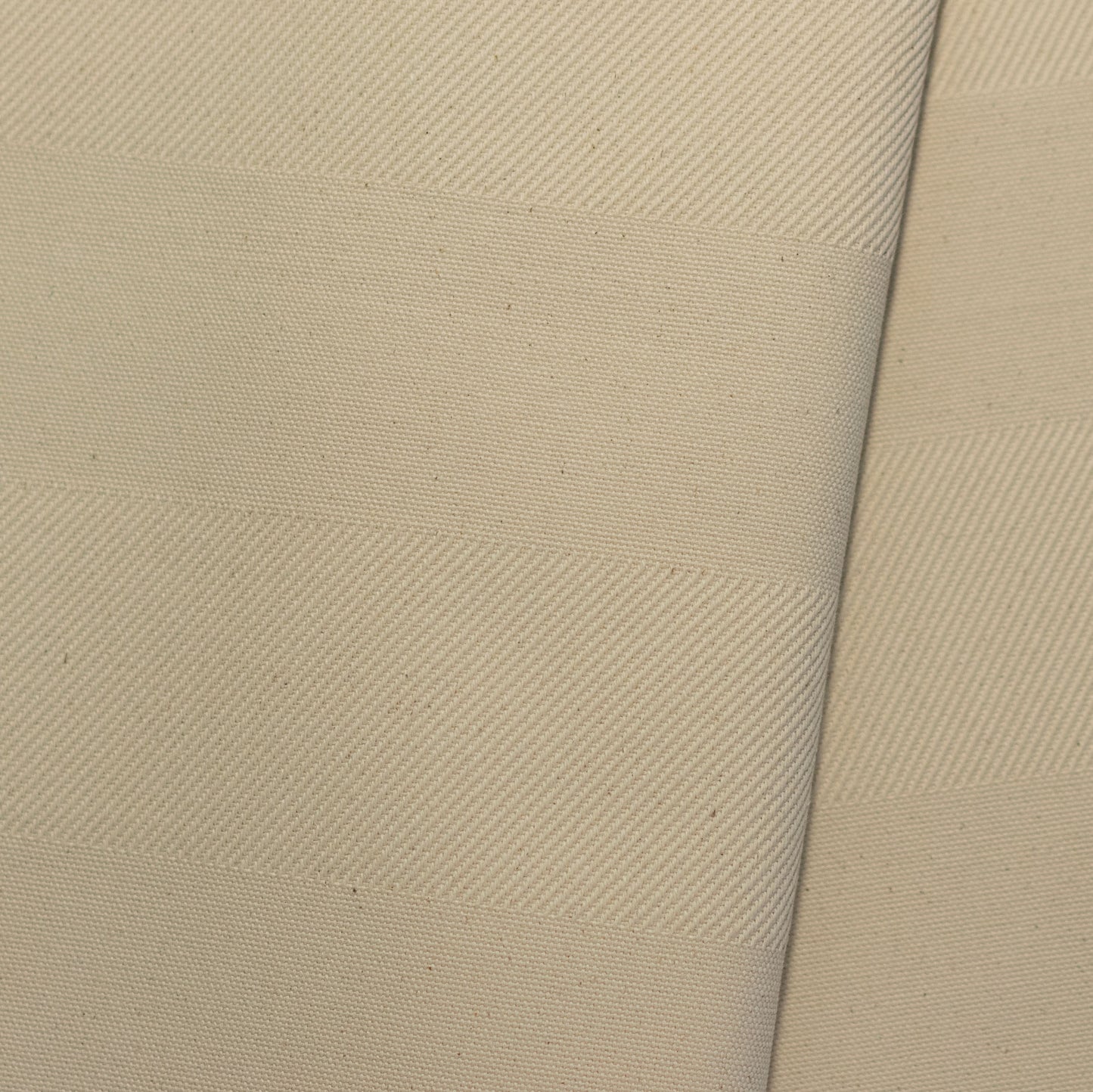 C8_BD BORDER CANVAS NO.8