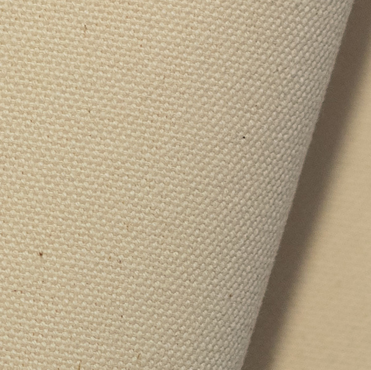 C8OJO COTTON PAPER YARN CANVAS/ONE WASH