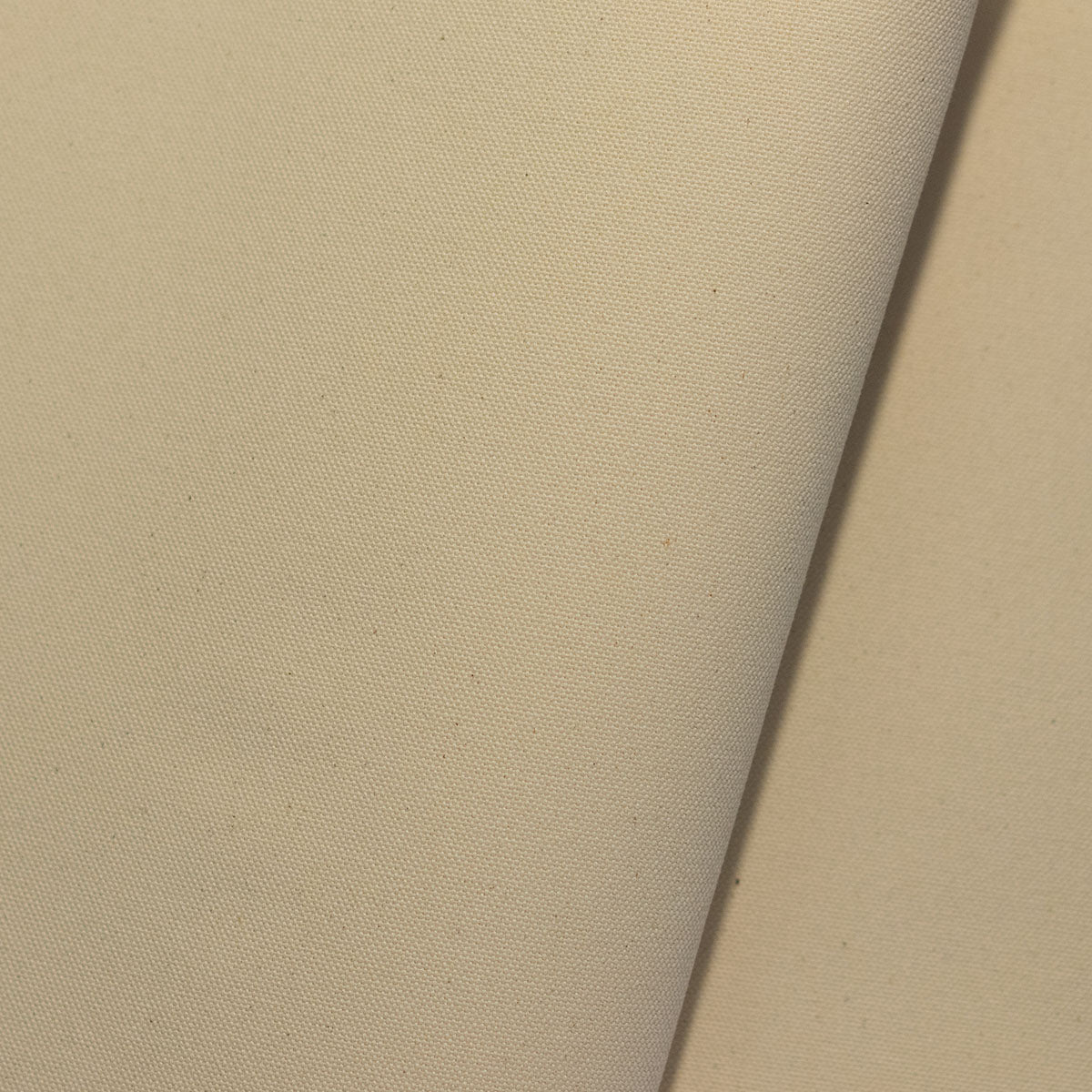 C8OJO COTTON PAPER YARN CANVAS/ONE WASH